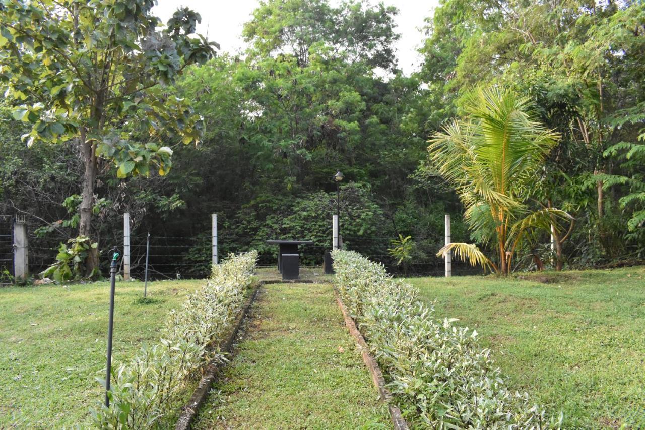 Nil Bawana Nature Resort Udawalawe Eksteriør bilde