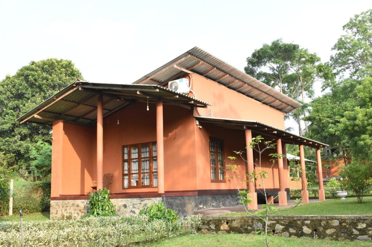 Nil Bawana Nature Resort Udawalawe Eksteriør bilde